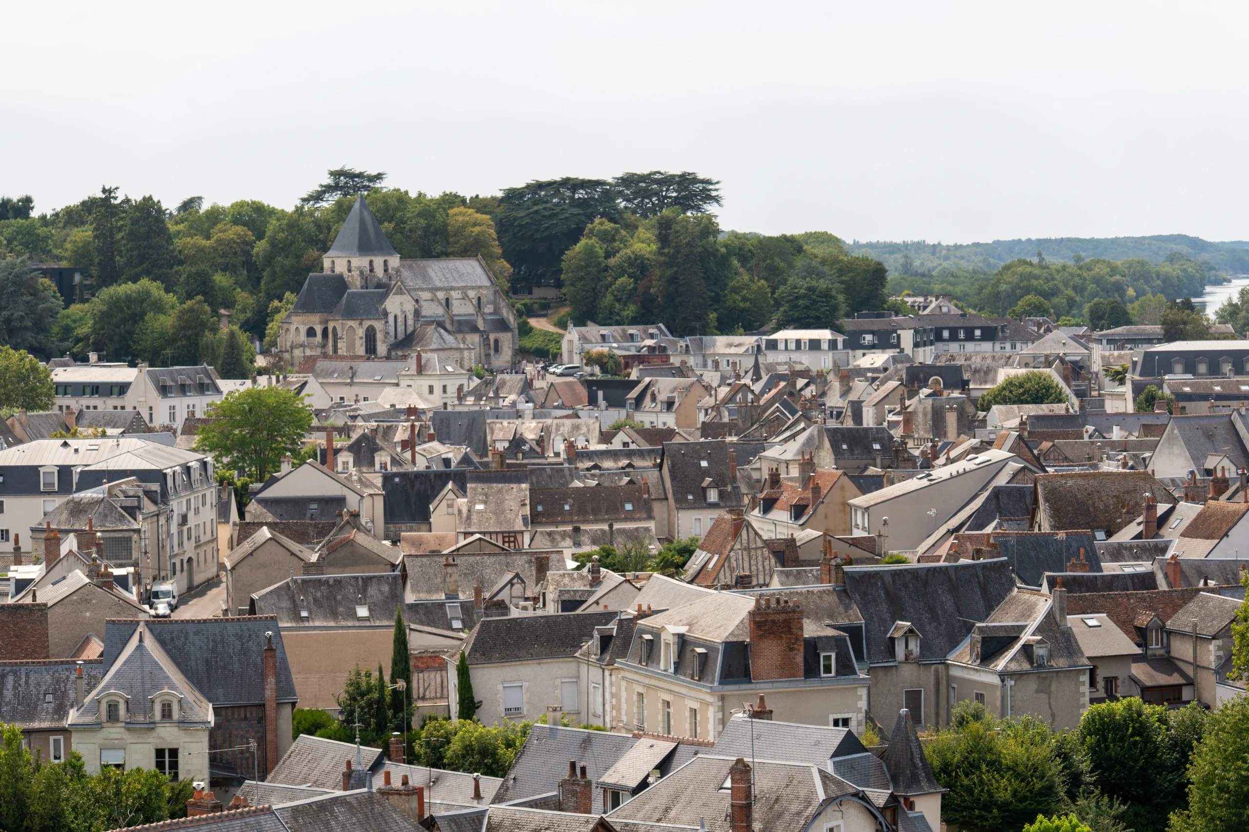 Vue panoramique sur les toits d’Amboise et l’église Saint-Denis entourée de verdure